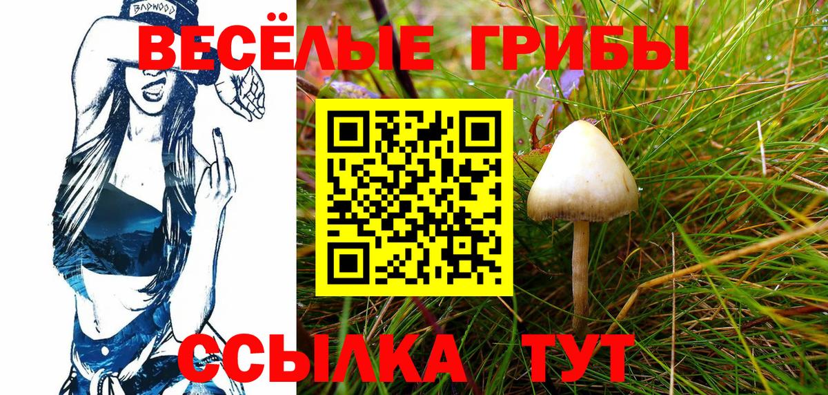 Галлюциногенные грибы Psilocybe  Галлюциногенные грибы Psilocybe  Канаш  Вход с VPN 